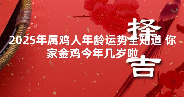 2025年属鸡人年龄运势全知道 你家金鸡今年几岁啦